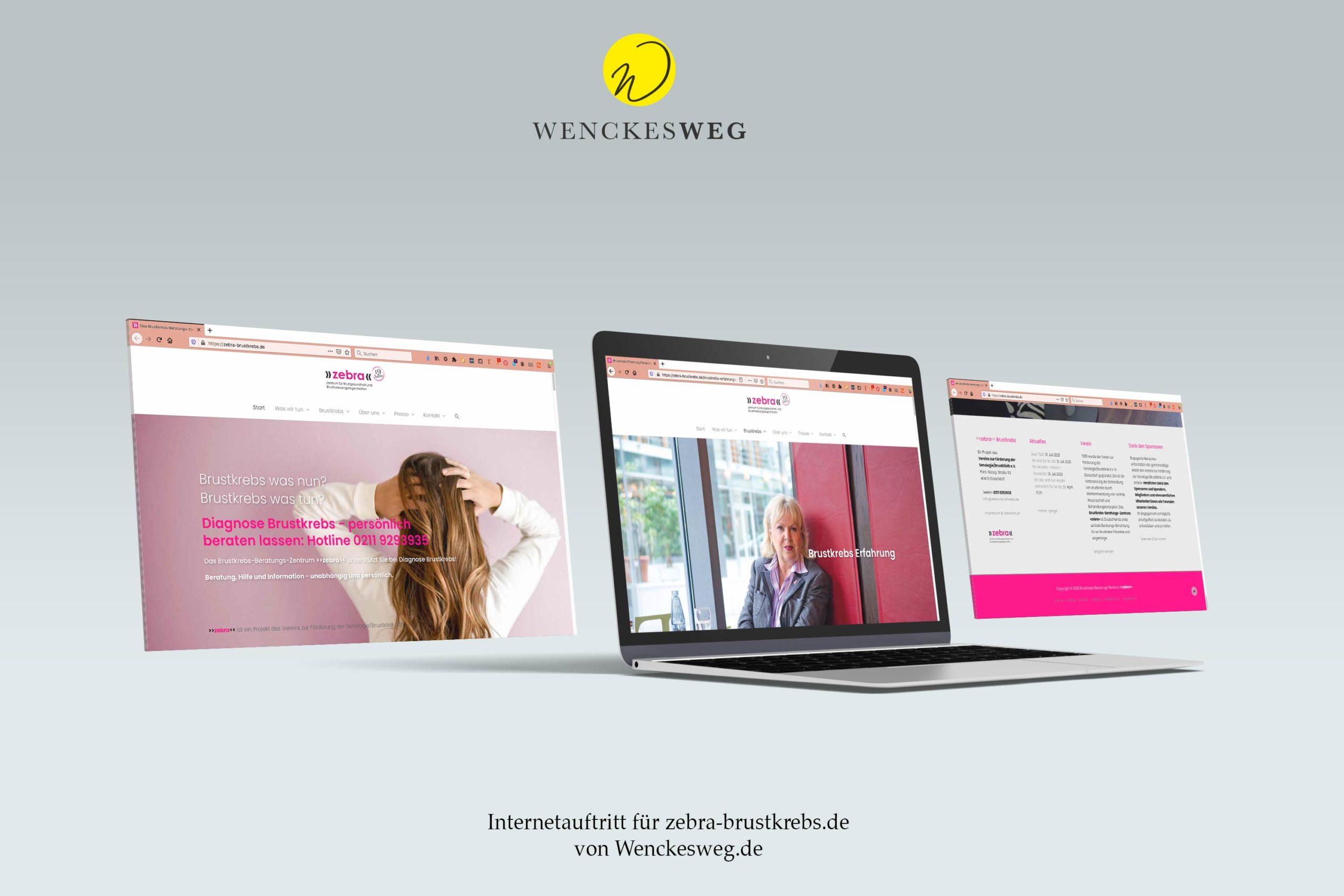 Portfolio-Wenckesweg-Internetauftritt_Zebra-brustkrebs